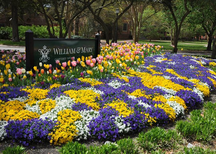 College of William and Mary photo