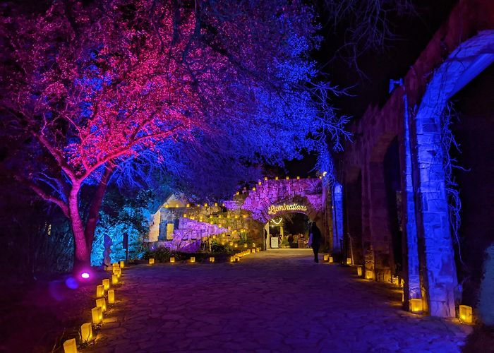 Lady Bird Johnson Wildflower Center photo