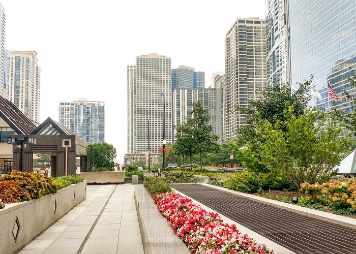 Aon Center photo