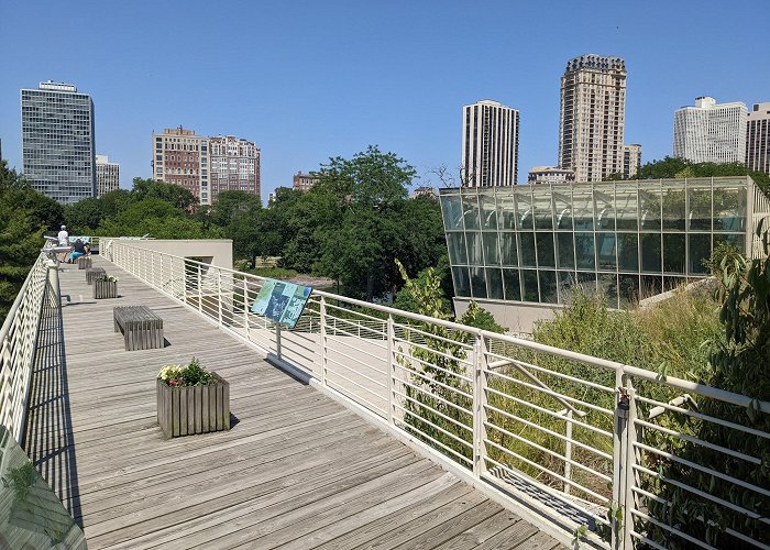 Peggy Notebaert Nature Museum photo