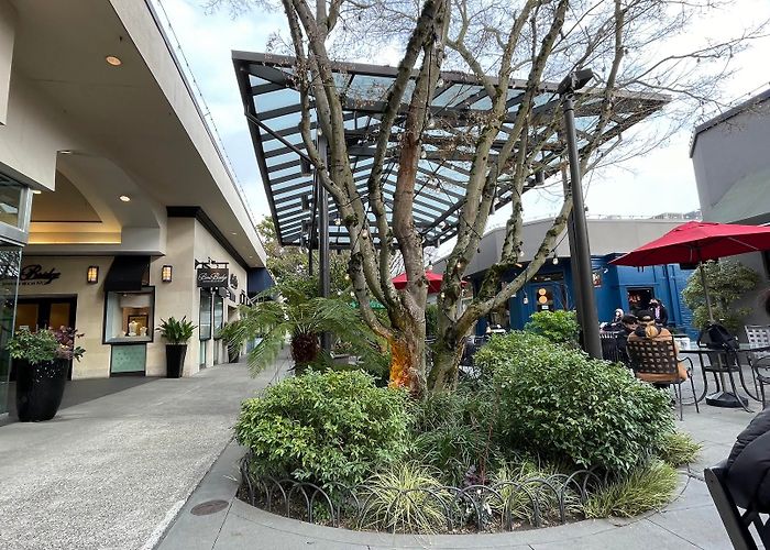 University Village photo