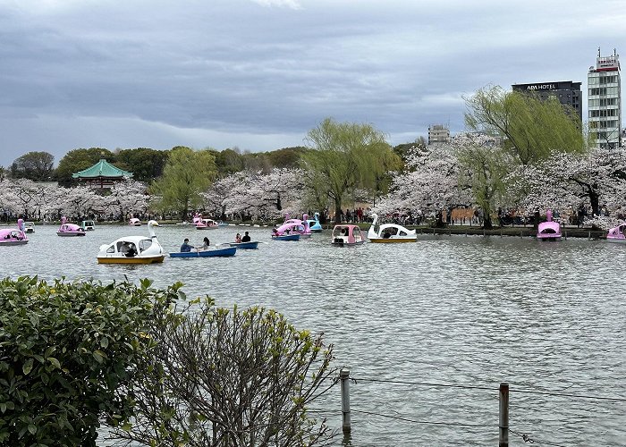 Ueno Park photo