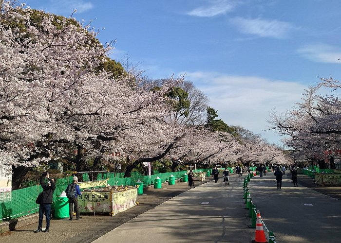 Ueno Park photo