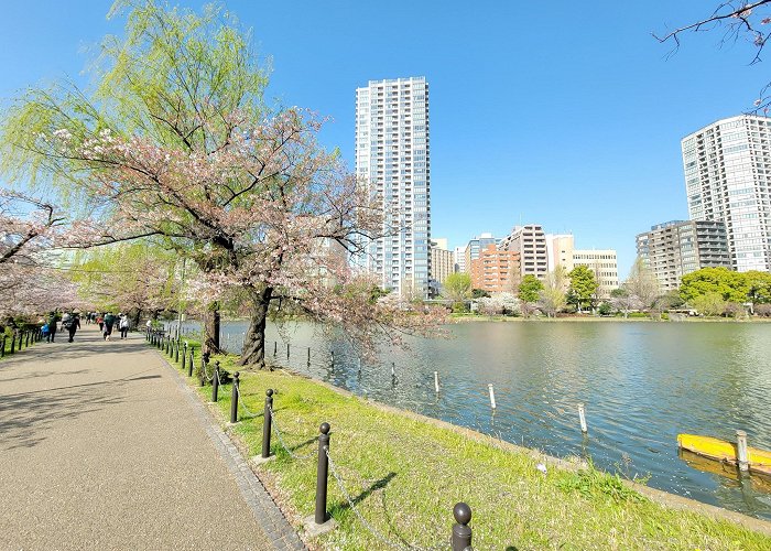 Ueno Park photo