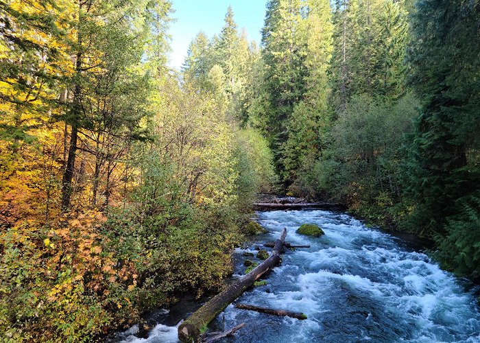 Umpqua Hot Springs photo