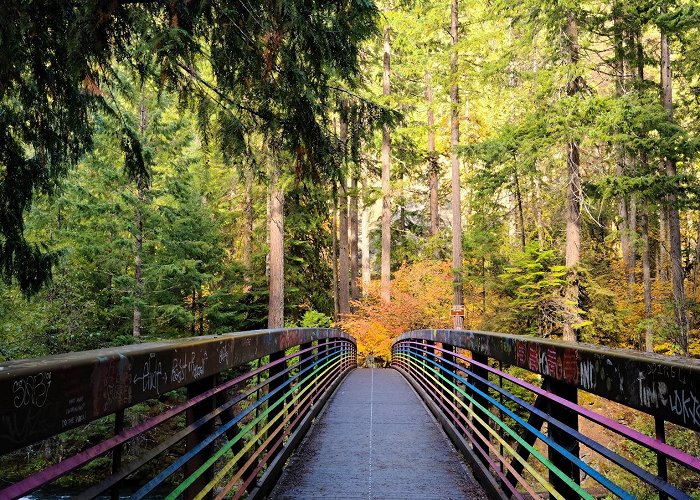 Umpqua Hot Springs photo