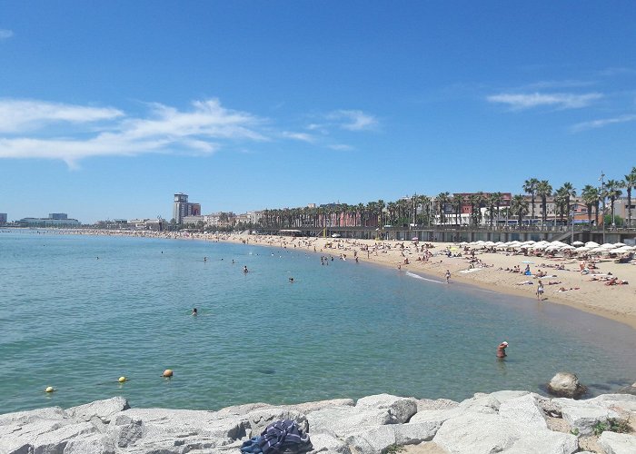 Barceloneta Beach photo