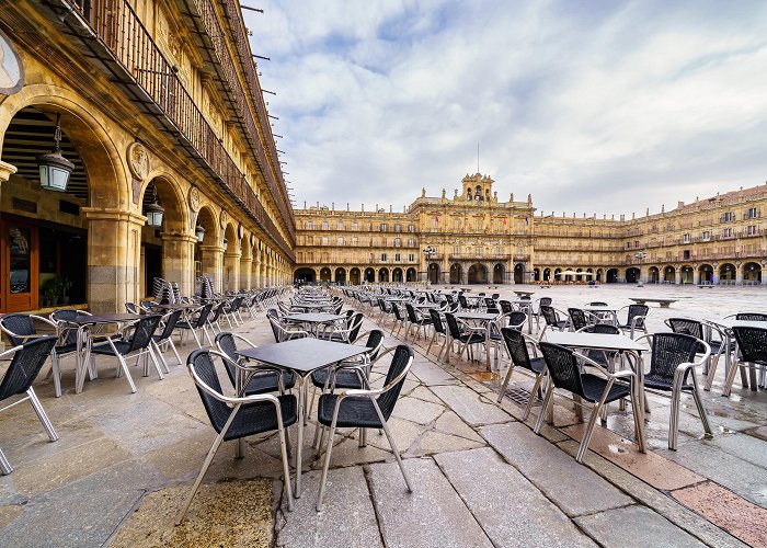 Plaza Mayor Salamanca photo