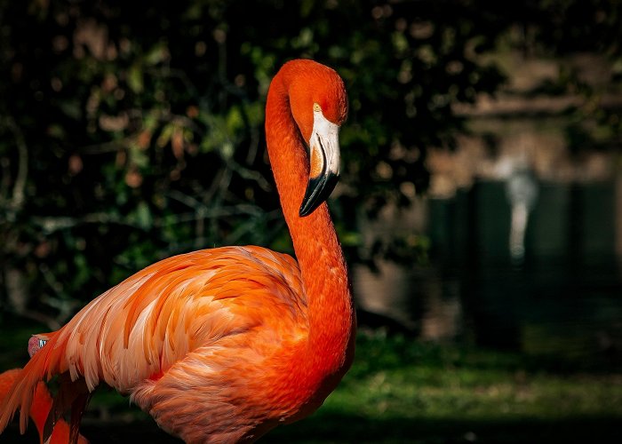 Madrid Zoo Aquarium Madrid Zoo Aquarium Tours - Book Now | Expedia photo