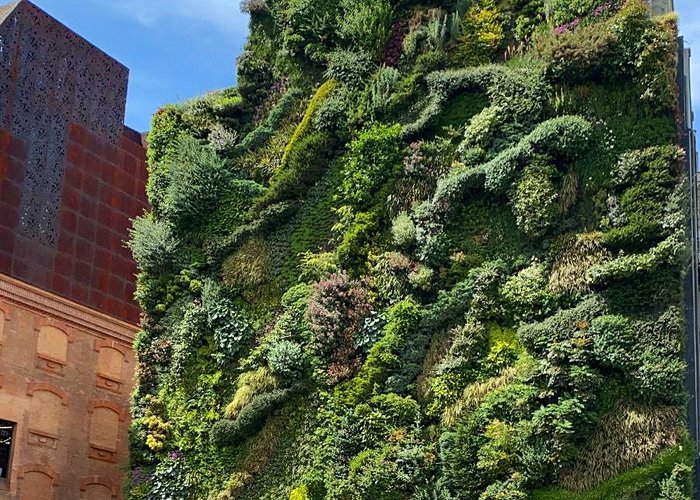 Caixa Forum Caixa Forum, Madrid | Vertical Garden Patrick Blanc photo