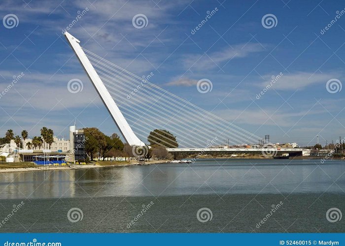 Alamillo Park Puente Del Alamillo, Seville Editorial Image - Image of bridge ... photo