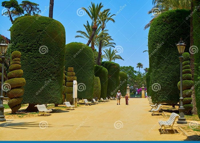 Genovés Park Genoves Park, Botanical Garden of Cadiz, Spain Editorial Image ... photo