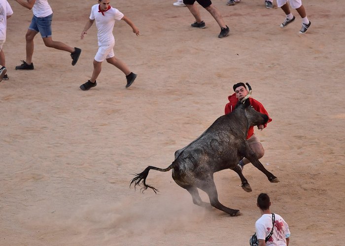 Bull Ring Pamplona Spain's running of the bulls: 6 hurt, no gorings in Pamplona | WFLA photo