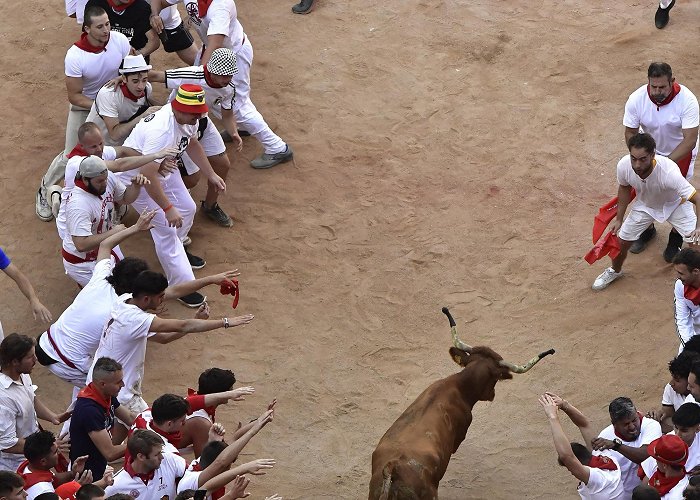 Bull Ring Pamplona Spain's Running of the Bulls returns to Pamplona – New York Daily News photo