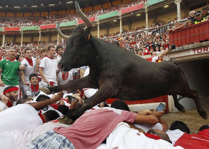 Bull Ring Pamplona The Running of the Bulls in Pamplona: in pictures | The ... photo