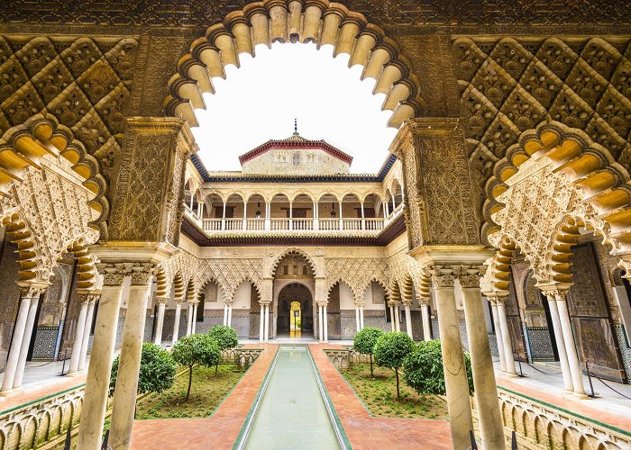 Alcazar Palace Seville: Real Alcazar; Hotel Alfonso; cathedrals; bars; tapas ... photo