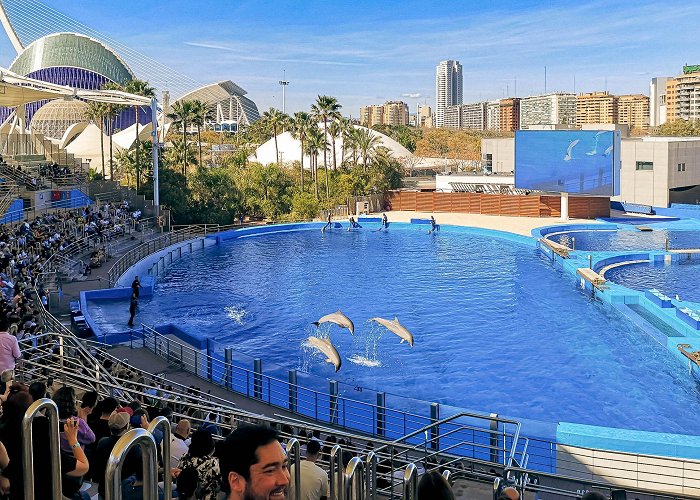 L'Oceanogràfic Discover the Oceanographic of Valencia - Largest Aquarium in Europe photo