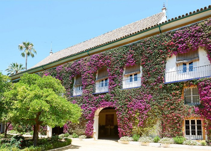 Palacio de las Dueñas Las Duenas, Casa de Alba | Visit Info photo