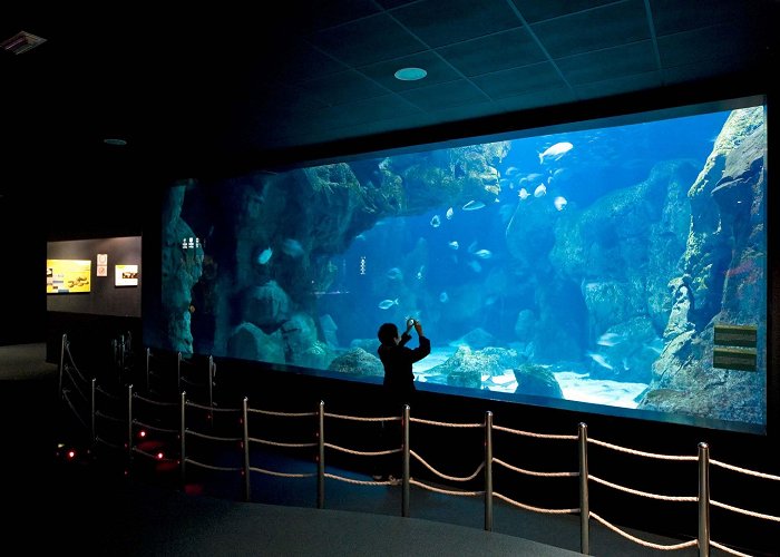 Aquarium of Gijon GIJON AQUARIUM – Reolid Consulting photo