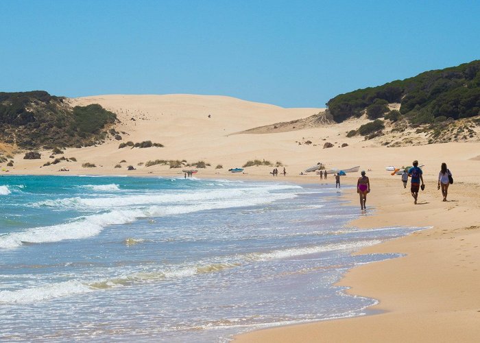 Playa de Bolonia La playa de Bolonia (Cádiz), votada la mejor playa de España ... photo