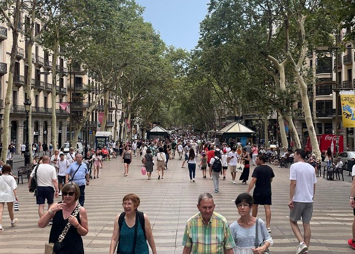 La Rambla Tourism Office La Rambla: Guide to One of Barcelona's Most Famous Streets photo