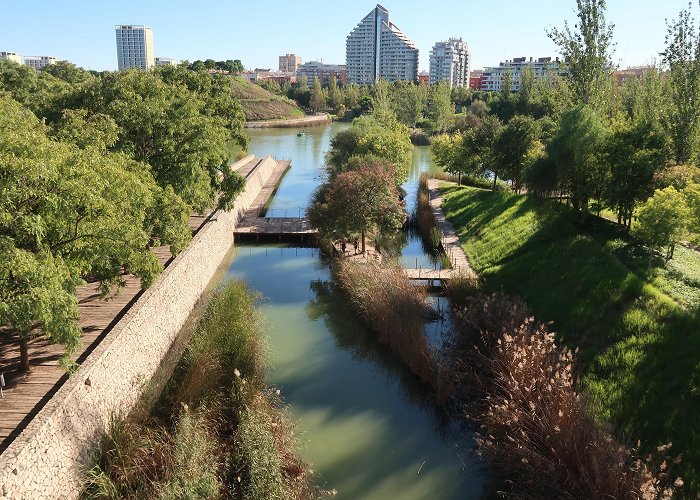 Cabecera Park Exploring Major Determinants of Health in Spain photo