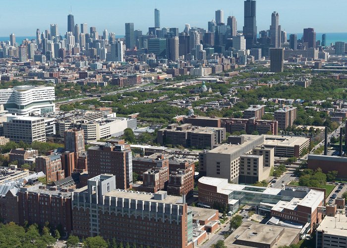 University of Illinois College of Medicine University of Illinois Chicago - Department of Medicine 2021-2022 ... photo