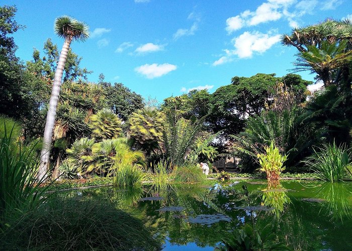 Puerto de la Cruz Town Hall Botanical Gardens Tours - Book Now | Expedia photo