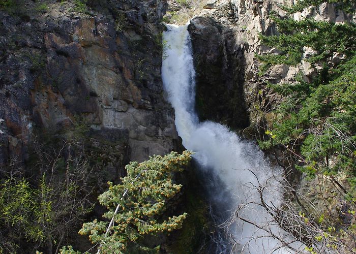 Fintry Estate & Provincial Park Fintry Provincial Park photo