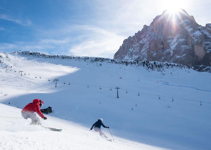 Ciampinoi Ciampinoi photo