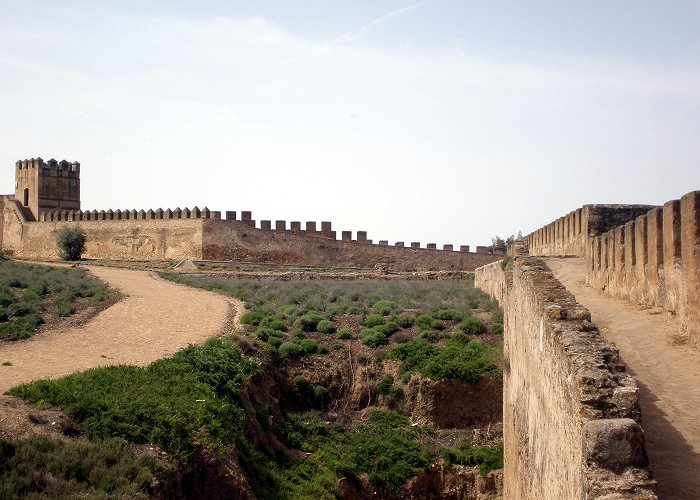 Alcazaba Alcazaba de Badajoz in Spain image - Free stock photo - Public ... photo