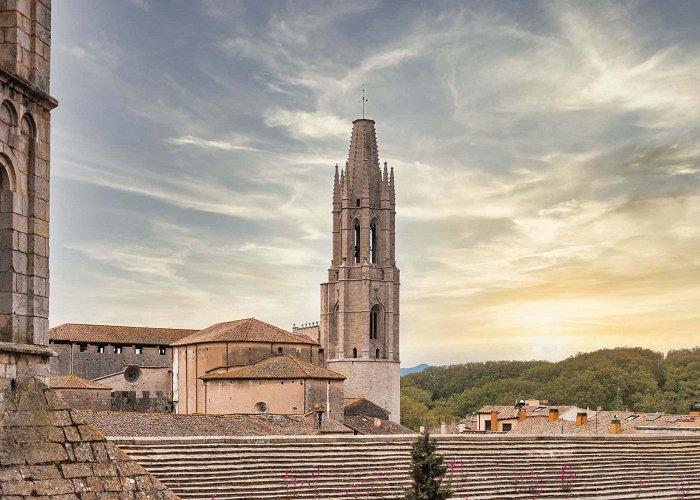 MUSEO DEL JUGUETE La destinación — La Farinera Sant Lluís photo