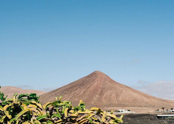 Fundación César Manrique A guide to the island of Lanzarote | House & Garden photo