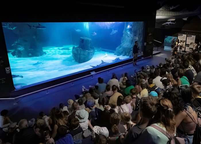 Océarium Océarium - LE CROISIC photo