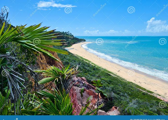 Pitinga Beach Pitinga Stock Photos - Free & Royalty-Free Stock Photos from ... photo