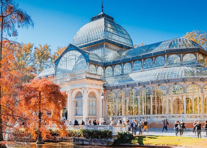 Palacio De Cristal Palacio de Cristal | Things to do in Retiro, Madrid photo