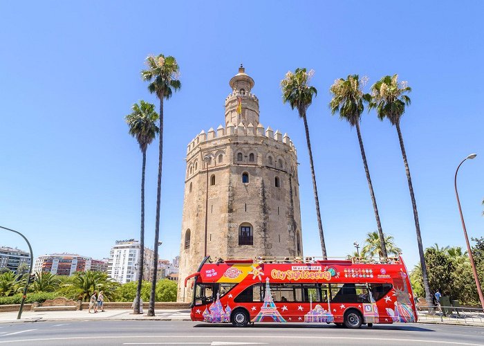 Plaza del Duque de la Victoria City Sightseeing Seville Hop-On Hop-Off Open Top Bus Tour ... photo