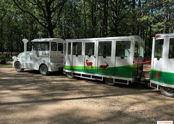 Espace Rambouillet Espace Rambouillet, hectares of forest to observe deer, fallow ... photo