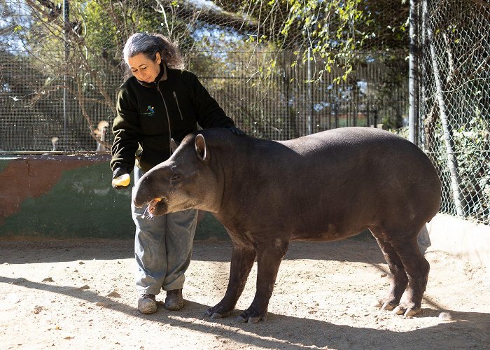 Zoobotanico Jerez El Zoo de Jerez cumple 70 años: ¿quiénes lo hacen uno de los ... photo