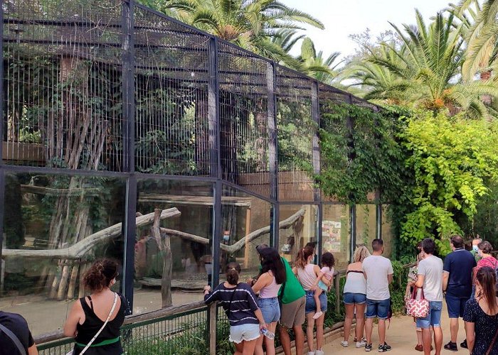 Zoobotanico Jerez Continúan los paseos por el Zoo de Jerez: animales salvajes al ... photo