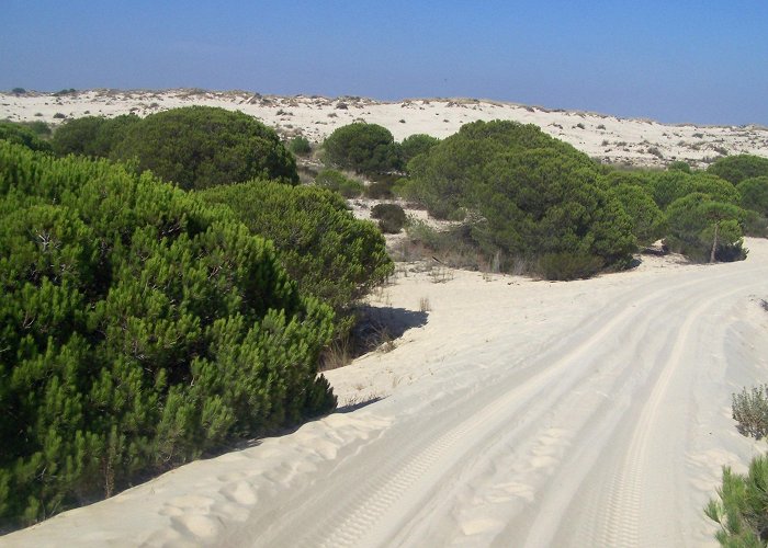 Golf Dunas de Doñana Doñana National Park Tours - Book Now | Expedia photo