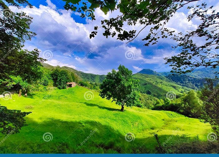 Redes Natural Park Landscape with Meadows Near Frieru Track, Redes Natural Park and ... photo