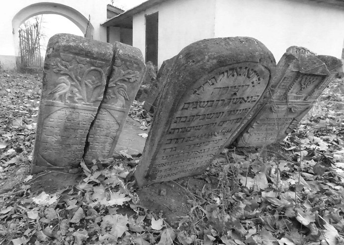 Museo Judio David Melul El Museo Judío de Béjar recuerda la huella del Holocausto con una ... photo