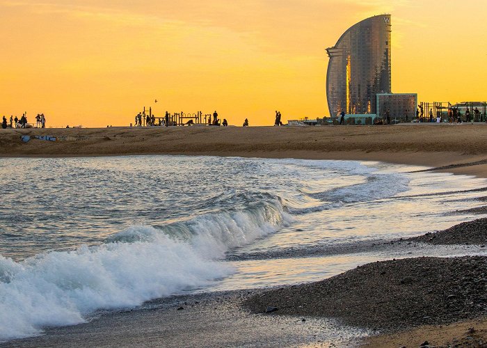 Barceloneta Beach Barceloneta Beach Tours - Book Now | Expedia photo