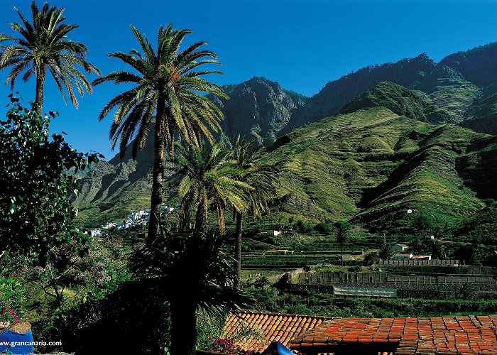 Valle de Agaete Sancocho canario: what it is and how to make it | Seaside Sandy Beach photo