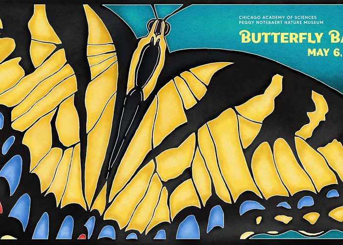 Peggy Notebaert Nature Museum Peggy Notebaert Nature Museum Butterfly Ball 2022 — PJH ... photo