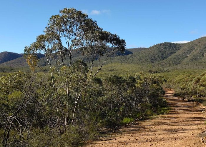 Longhill Nature Reserve Alligator Gorge: An Overnight Hike in SA - We Are Explorers photo