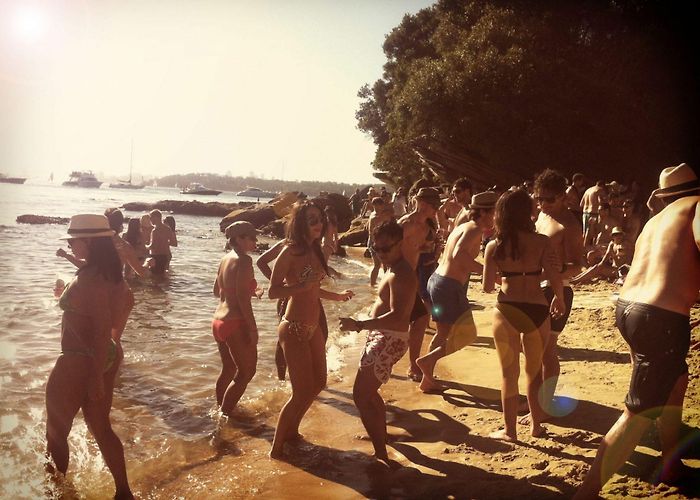 Milk Beach Milk Beach - New Year's Day | THIS ISLAND LIFE photo