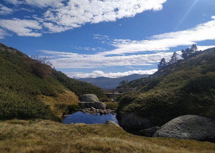 laguna de los pajaros Structured Data photo