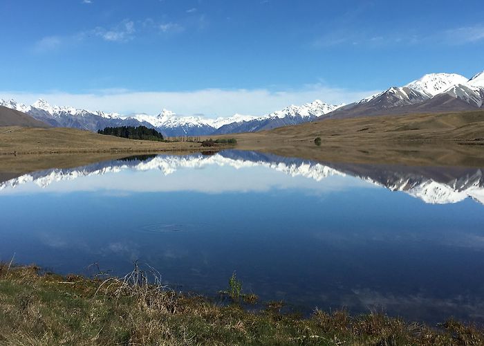 Edoras The Little Things–Hakatere Conservation Park | Robinne Weiss photo